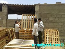 Field Team